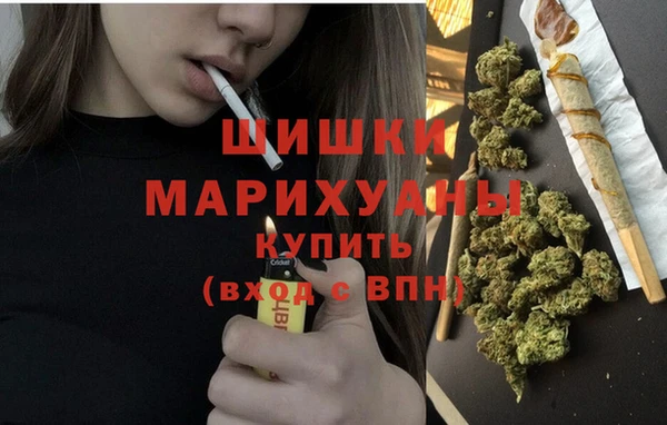 ГАЛЛЮЦИНОГЕННЫЕ ГРИБЫ Волосово