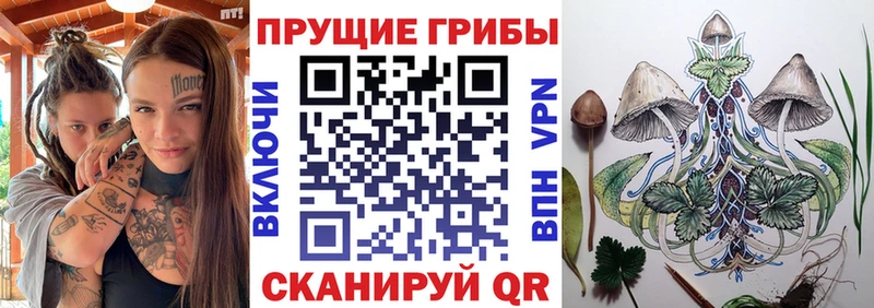 Галлюциногенные грибы Magic Shrooms  хочу наркоту  Юхнов 